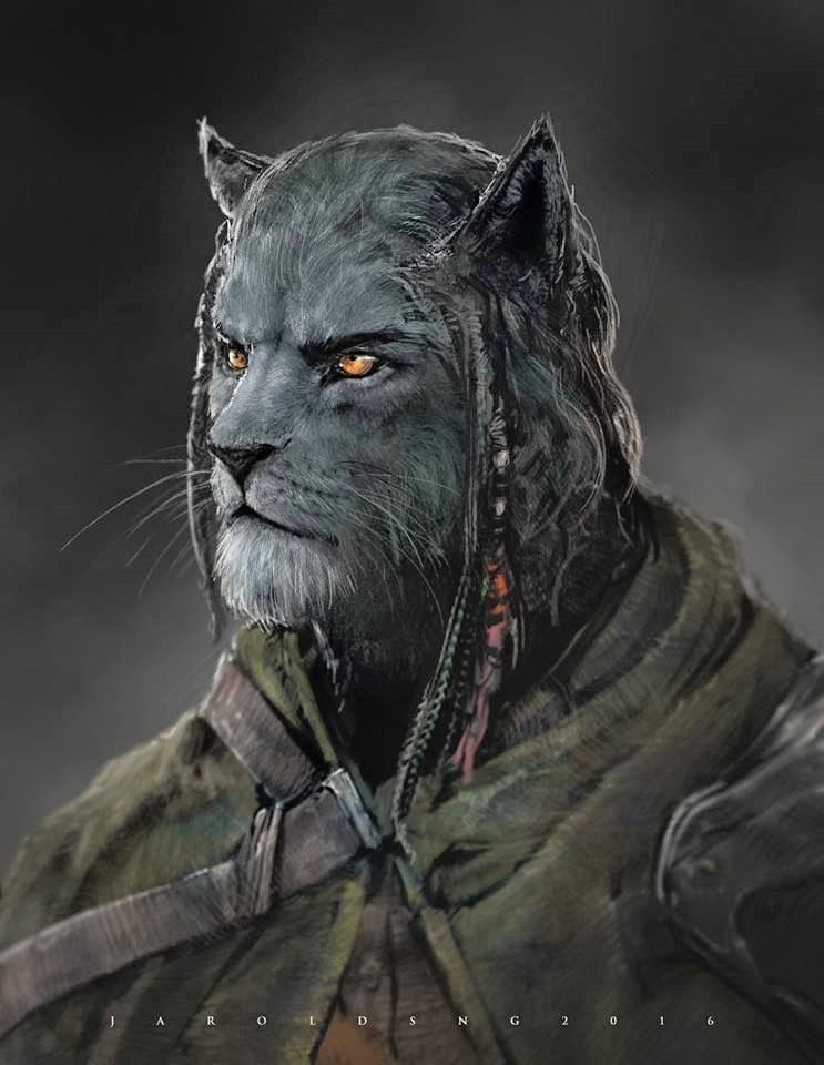 m Tabaxi Rogue Thief Leather Armor portrait urban City undercity ...